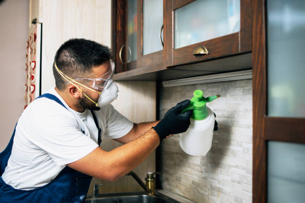Best Pest Inspection Near Me  in Bedford, IN