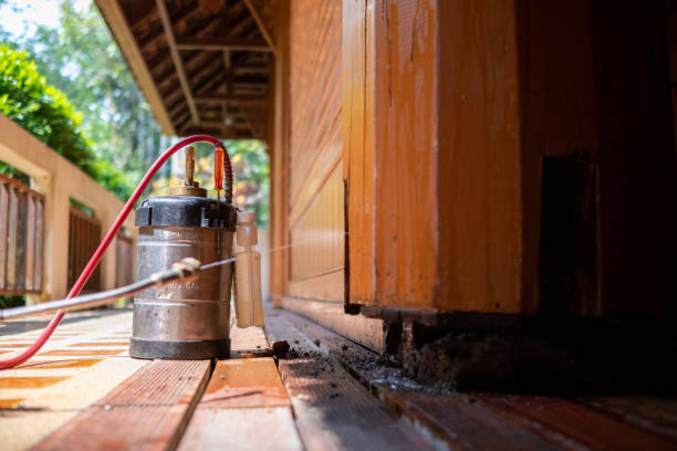Best Affordable Pest Control Services  in Bedford, IN