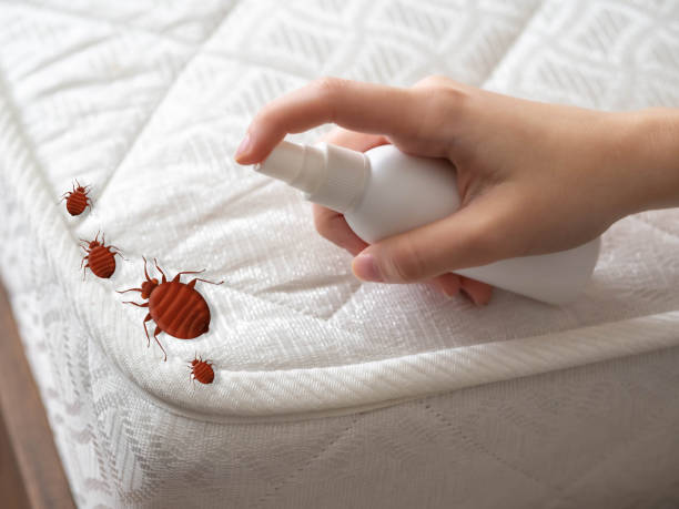 Best Best Pest Control Companies  in Bedford, IN