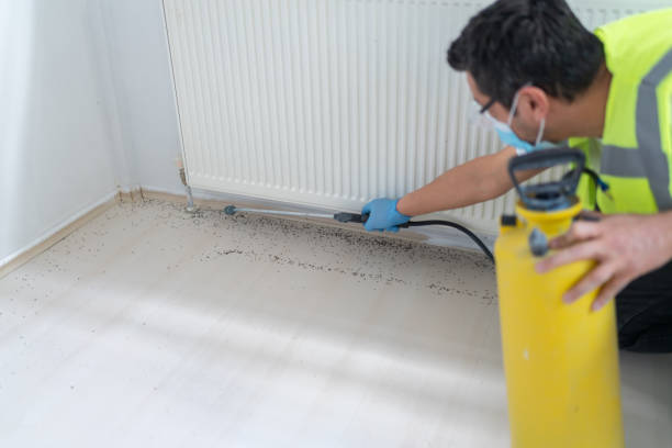 Best Insect Control  in Bedford, IN